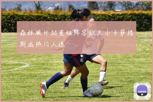 森林狼计划重组阵容欧文小卡萨格斯成热门人选